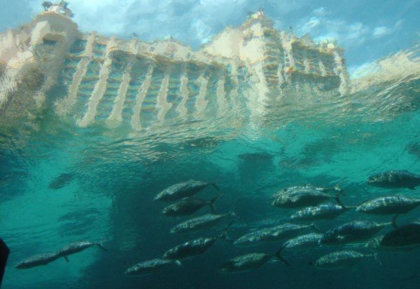 School in the Bahamas